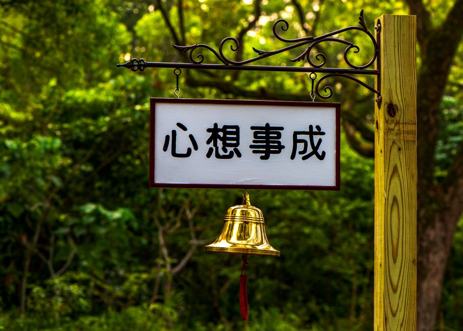 成都都江堰花艺体验店怎么装修？自然采光+操作台+打卡花墙，网红店必备要素